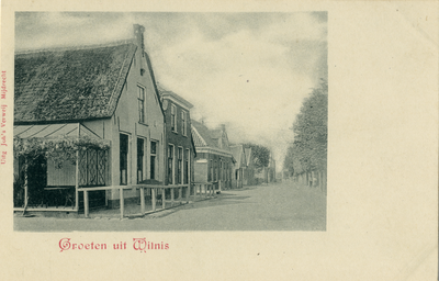 15302 Gezicht in de Dorpsstraat met bebouwing en leilinden te Wilnis uit het oosten; met links de linker- en voorgevel ...